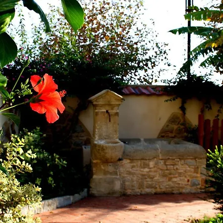 Chelia Patti